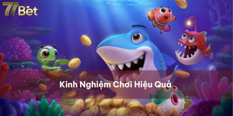  Kinh nghiệm chơi hữu hiệu chinh phục ngư trường 77Bet