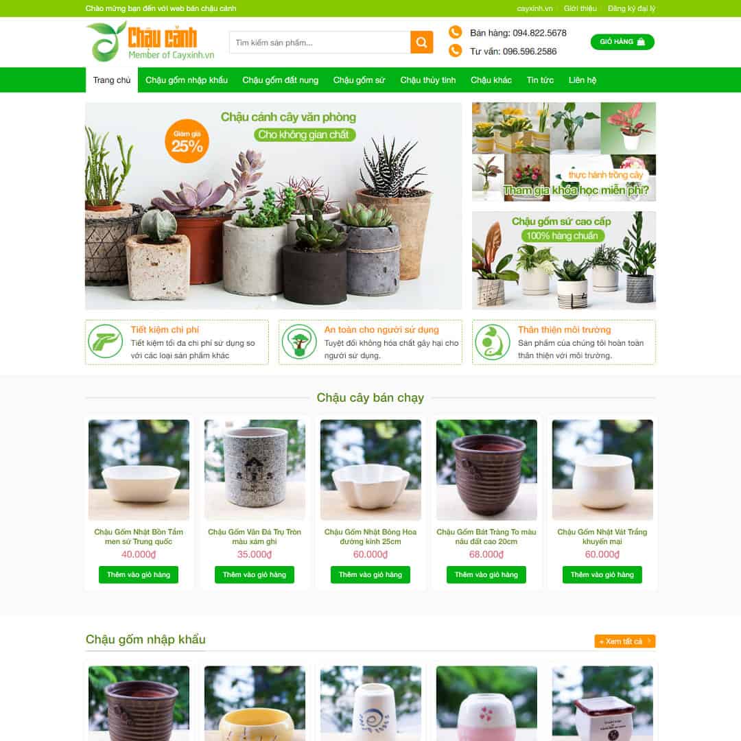 Bán Chậu Cây Cảnh Văn Phòng