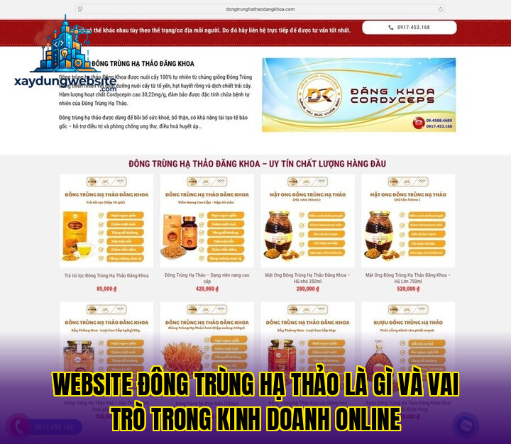 website đông trùng hạ thảo là gì và vai trò trong kinh doanh online