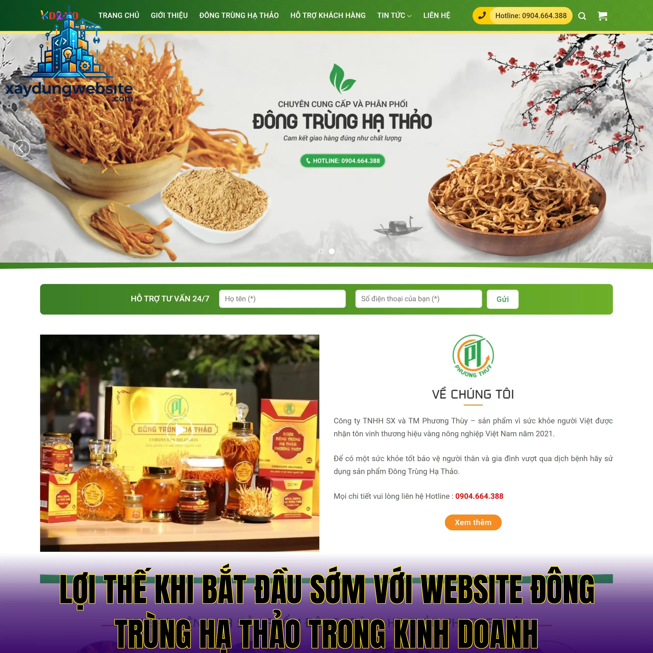 lợi thế khi bắt đầu sớm với website đông trùng hạ thảo trong kinh doanh