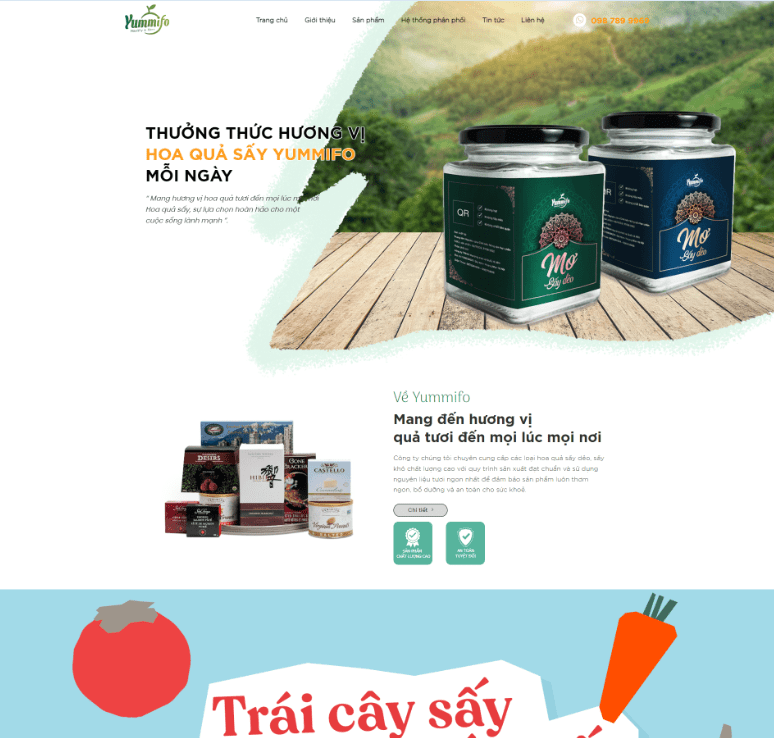 Trái Cây Hoa Quả Sấy Đặc Sản